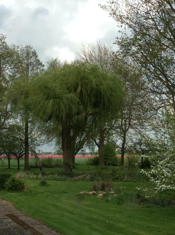 Gouweland Vila Hoogwoud Exterior foto
